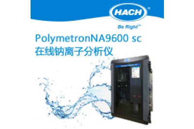 在线钠离子分析仪总磷测定仪Polymetron NA9600 sc 可检测Na9600