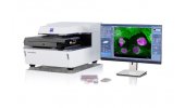 蔡司晶格层光显微镜 Lattice Lightsheet 7  应用于3D细胞培养领域