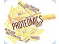 蛋白质组学技术服务