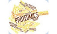 同位素标记磷酸化蛋白质组学(Phosphoproteomics)