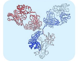 蛋白纯化制备蛋白表达纯化碧云天 原核服务介绍