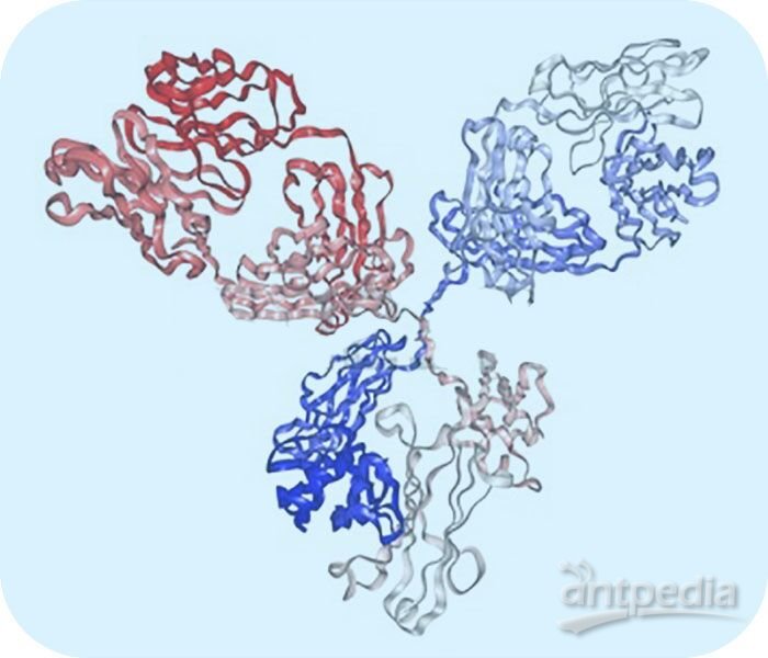蛋白纯化制备蛋白表达纯化 应用于蛋白