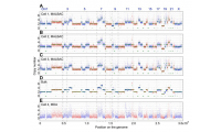 碧云天单细胞全基因组重测序NGS测序 高通量测序服务询价表