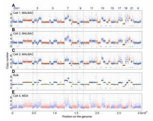 NGS测序单细胞全基因组重测序 其他资料