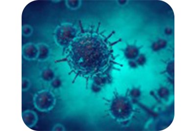 病毒包装/腺病毒/AAV病毒转染/细胞转染 应用于细胞生物学