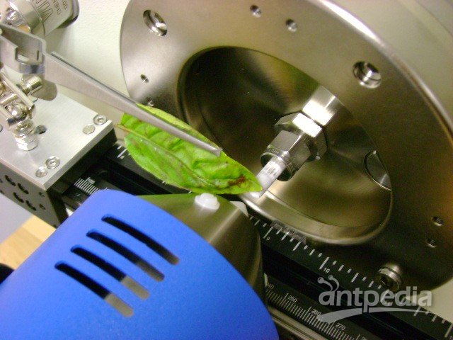 SVP, JumpShotIonSense液质 用DART-MS快速测定牛奶及酸奶中的<em>ITX</em>
