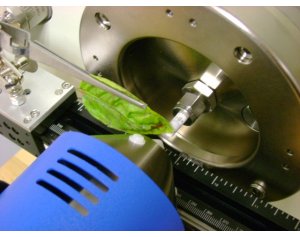 IonSense  DART 实时直接分析质谱系统液质 应用于微生物