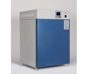 DNP-9162电热恒温培养箱160L