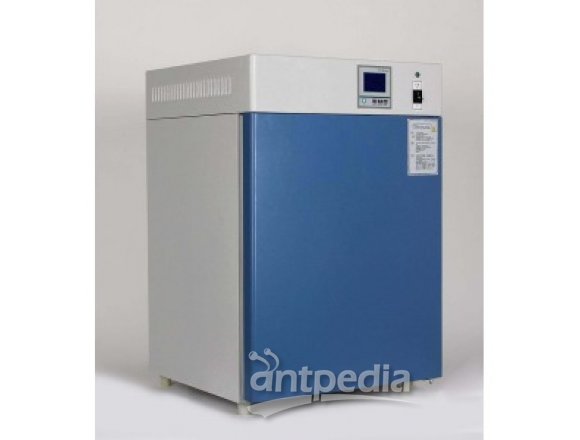 右一仪器低温培养80升电热恒温培养箱DHP-9082