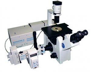 HORIBA Ratio Master荧光比率显微测量系统 测量动态荧光比率