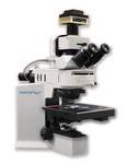 HORIBA DeltaMyc 荧光寿命成像显微镜 高效直接耦合超快皮秒脉冲光源