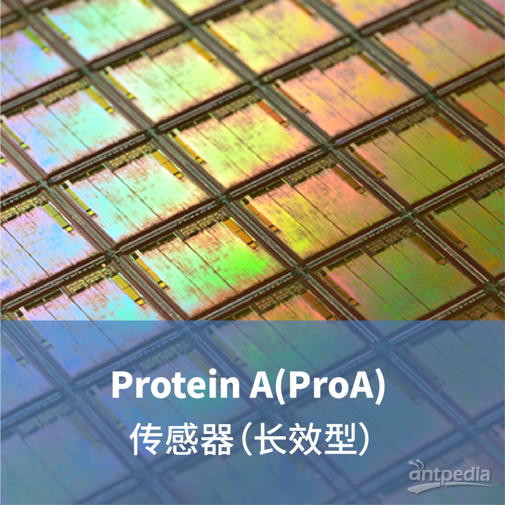 LifeDisc <em>Protein</em> A(ProA) 生物传感器（长效型）