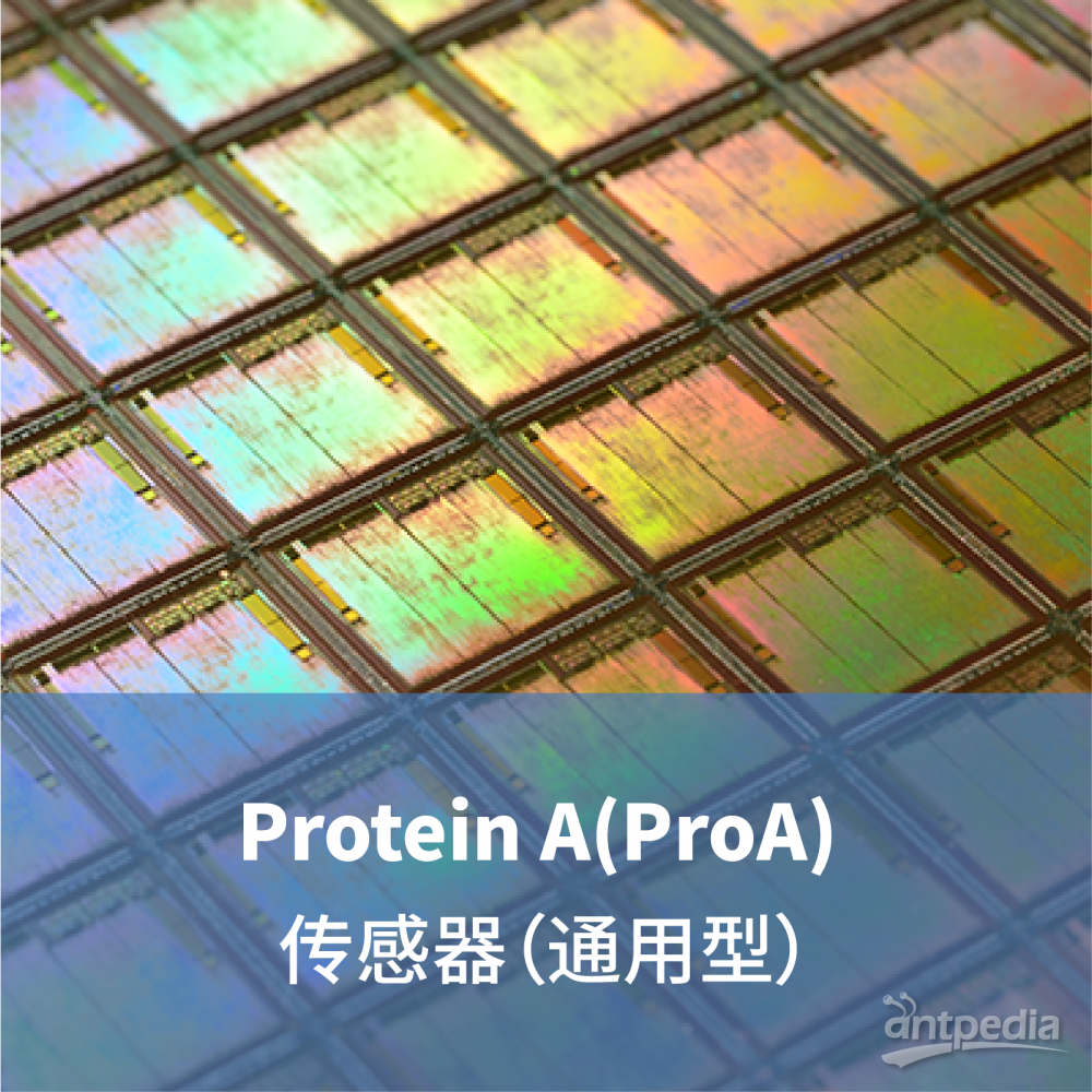 <em>LifeDisc</em> <em>Protein</em> A(<em>ProA</em>) <em>生物传感器</em>（通用<em>型</em>）