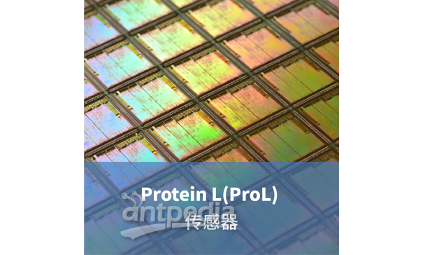 LifeDisc Protein L(ProL) 生物传感器