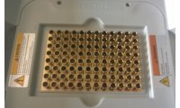 AllInOne 黄金快速基因扩增仪 PCR仪