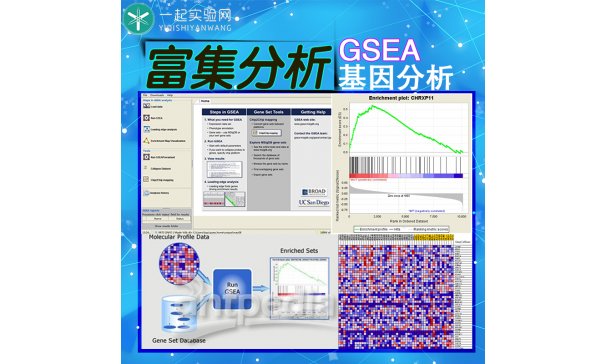 单基因基因功能富集分析GSEA