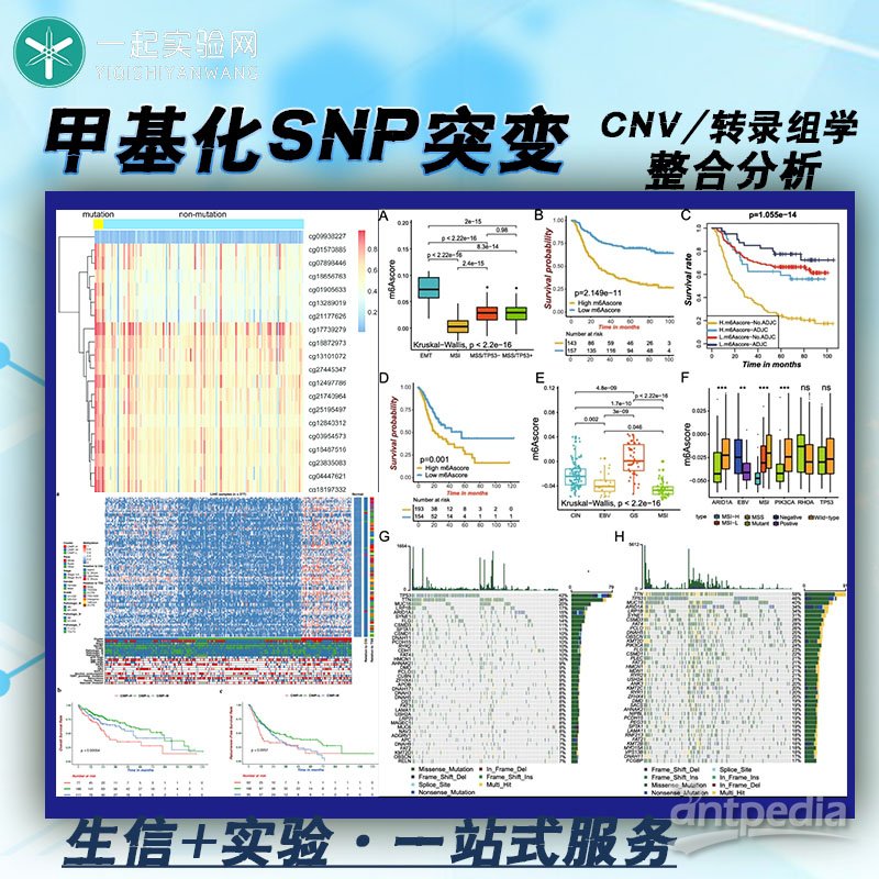 甲基化SNP突变CNV与转录组学的整合分析