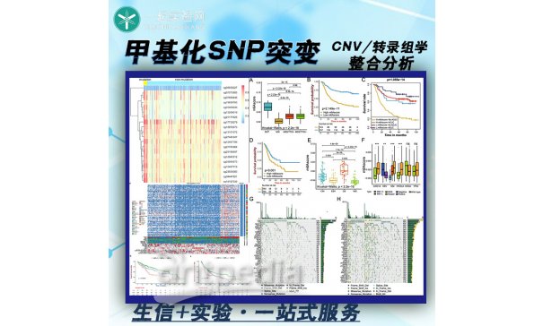 甲基化SNP突变CNV与转录组学的整合分析