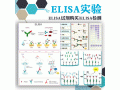 ELISA实验/ELISA试剂盒购买/ELISA检测