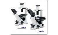 OLYMPUS倒置显微镜CKX41