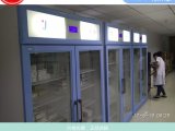 痰标本检验中心（电热恒温培养箱）FYL-YS-100L