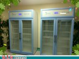 医院检验科-30℃专用冰箱（医用低温冰箱）FYL-YS-128L