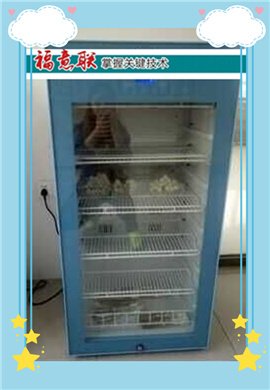 大便标本生化培养箱（1-5℃冷藏保存于硬质玻璃瓶）FYL-YS-1028L