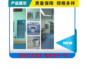 FYL-YS-1028L急诊手术室、产房手术恒温箱（保暖柜）