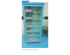 动物房大鼠饲养实验百只小鼠饲养箱、常用实验小鼠品恒温培养箱FYL-YS-431L