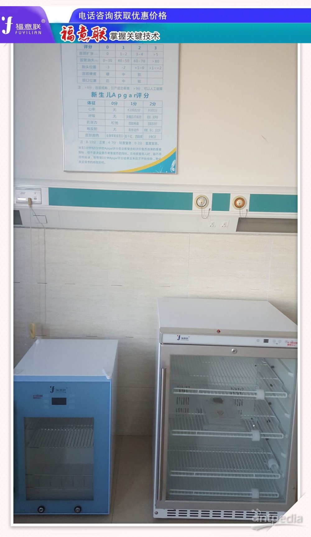 动物实验室小鼠实验饲养箱、常用实验小鼠品饲养柜FYL-YS-430L
