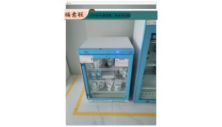 美容手术肿胀液干燥箱FYL-YS-50LL