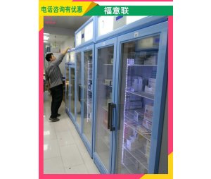 蛋白质纯化设备低温冰箱 低温冰柜（层析柜） 福意联