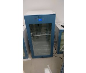 科研实验室用蛋白纯化仪低温保存箱 层析柜（用于物品冷藏)FYL-YS-828L