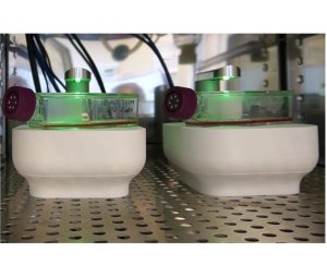 CytoSMART Lux3 FL Duo Kit 用于平行比较研究的 荧光活细胞成像