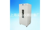 LD-420电热恒温鼓风干燥箱烘箱同款DHG-9420