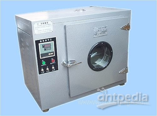 电热恒温干燥箱 - 上海
