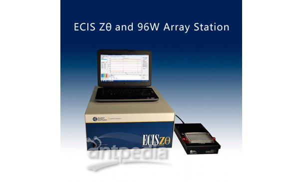 ECIS细胞动态分析仪