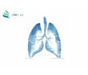 呼吸系统 Respiratory System疾病动物模型