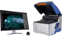 牛津仪器ANDOR BC43台式共聚焦显微镜 应用发育生物学领域