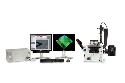AFM及扫描探针 MFP-3D-BIO™牛津仪器 材料成分和结构