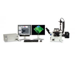  MFP-3D-BIO™原子力显微镜AFM及扫描探针 MFP-3D-BIO™ 机械及电学性能