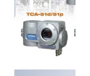 HORIBA热传导式防爆气体分析仪TCA-51d/51p