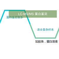 LC-MSMS混合蛋白鉴定<em>技术</em>服务