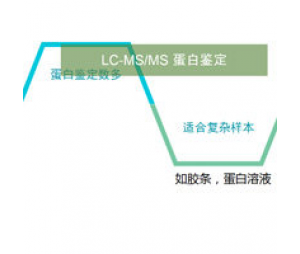 LC-MSMS混合蛋白鉴定技术服务