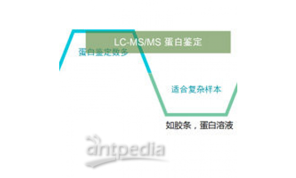 LC-MSMS混合蛋白鉴定技术服务