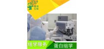 医学/植物蛋白组学 质谱鉴定 lc-msms