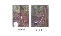QT-Y或H系列树干截流采集仪