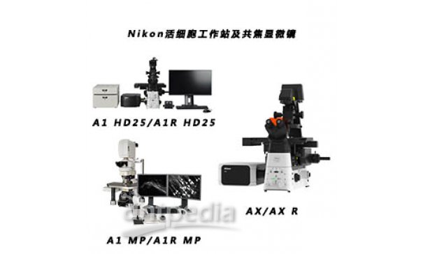 Nikon活细胞工作站双光子及共焦显微镜