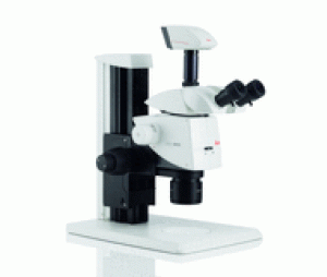 德国徕卡 体视显微镜 M125