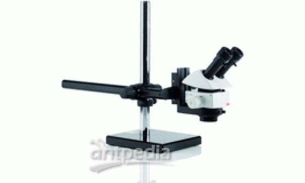 德国徕卡 体视显微镜 M50